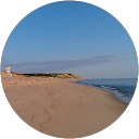 Bruce A. profile picture