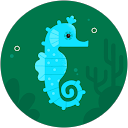 Romain L profile picture